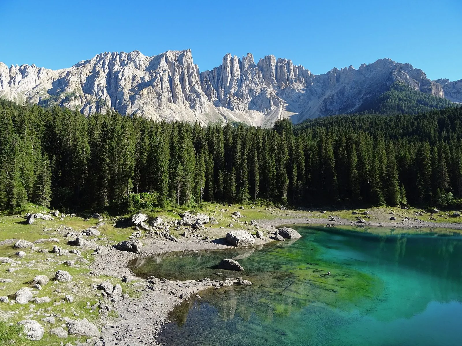 Lago alpino dalle acque turchesi e verde smeraldo con sponde di sassi chiari, un fitto bosco di abeti e dietro le guglie rocciose del Latemar sotto un cielo azzurro limpido